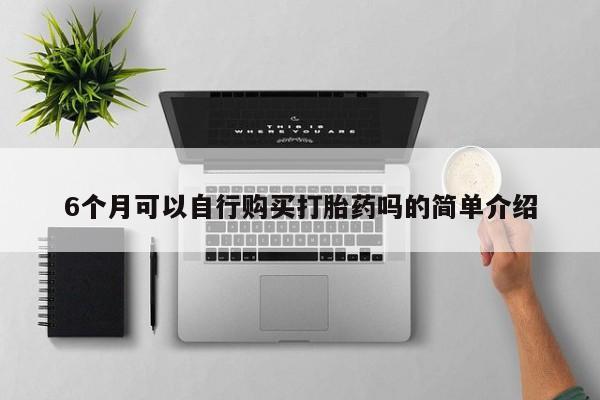 网上私人卖的打胎药微信6个月可以自行购买打胎药吗的简单介绍